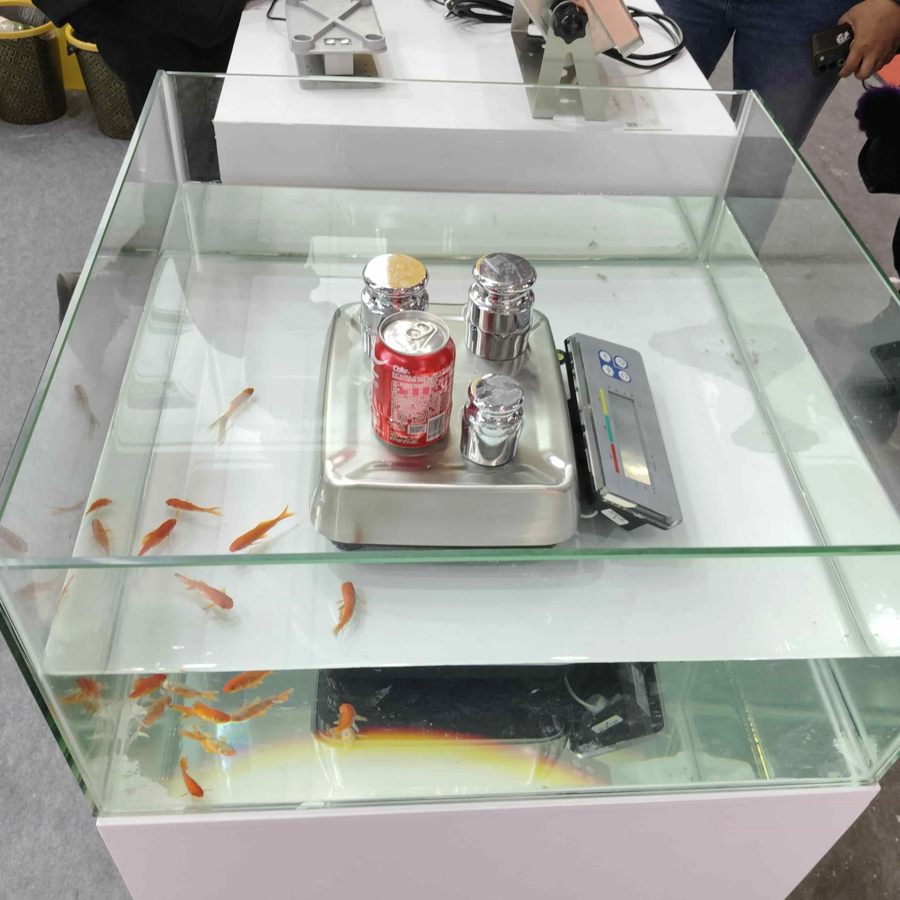 #pantun jalan jalan
#internasional
#berita internasional